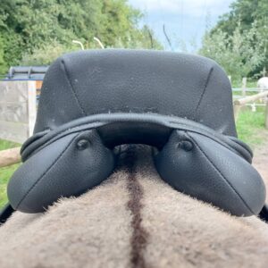 Saddle fitting 480525887_122120513150679650_3372573230049717073_n