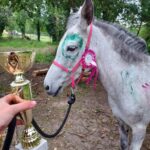 496341680 4156745227942993 1057778987113296058 N 150x150