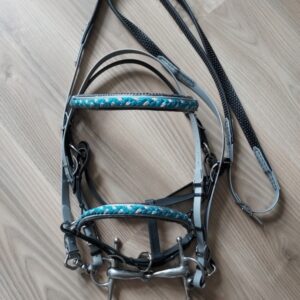 2 en 1 bridon-licol en Biothane® ou sangle enduite PVC