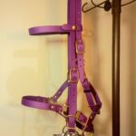 Créations équestres artisanales 2 en 1 bridon licol en biothane® ou sangle enduite pvc