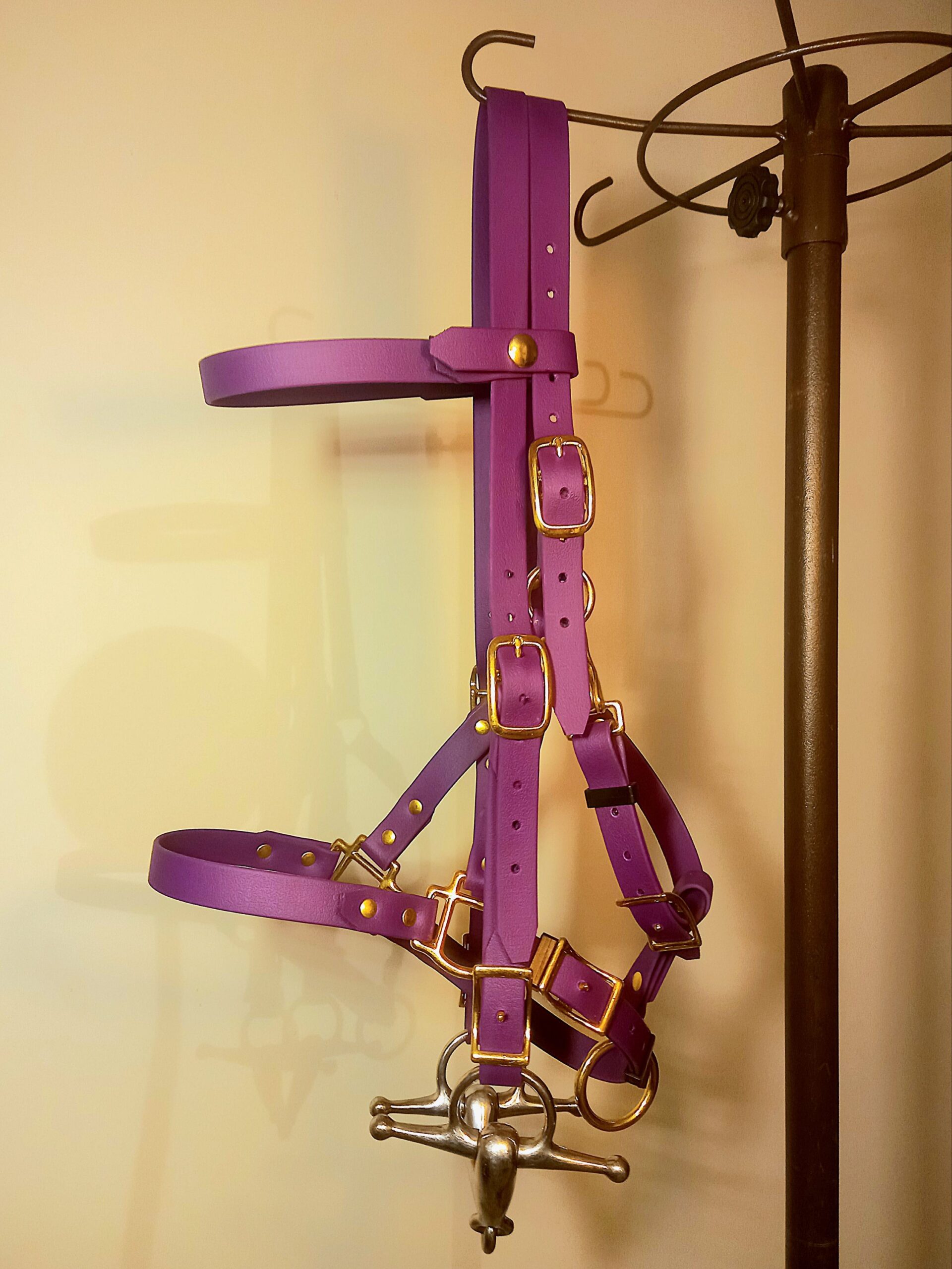 2025/11/1000027029-scaled.jpg 2 en 1 bridon licol en biothane® ou sangle enduite pvc