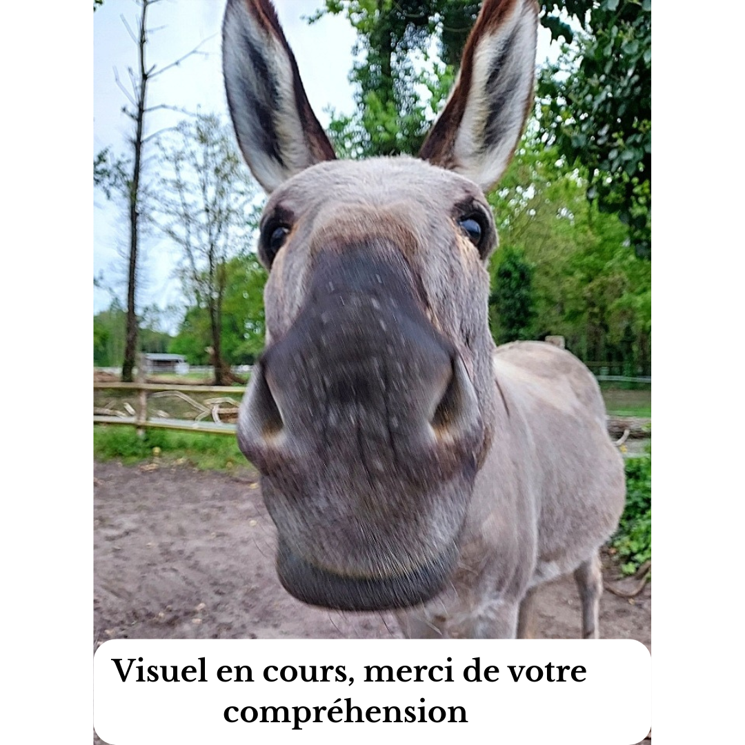 Rênes en corde rênes en corde