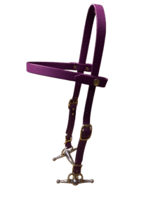 Créations équestres artisanales lanière en biothane® ou sangle enduite pvc