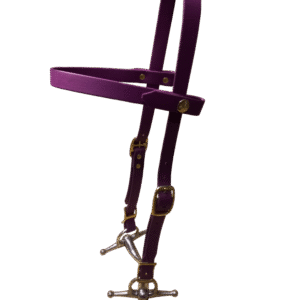 Lanière en Biothane® ou sangle enduite PVC