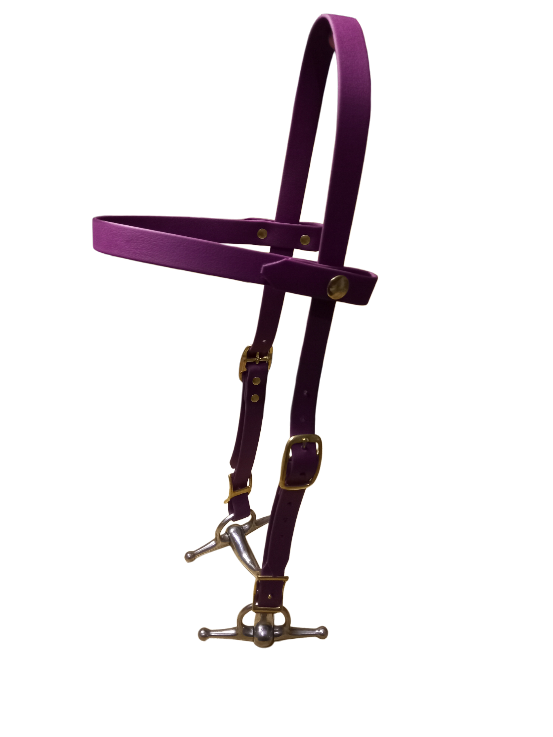 2025/11/1000028534.png lanière en biothane® ou sangle enduite pvc