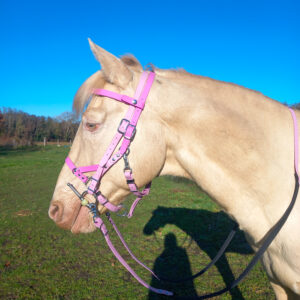3 en 1 bridon-licol-sidepull en Biothane® ou sangle enduite PVC