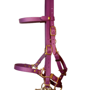 En stock – 2 en 1 bridon-licol taille COB