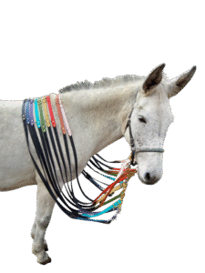 en stock rênes supergrip taille cob