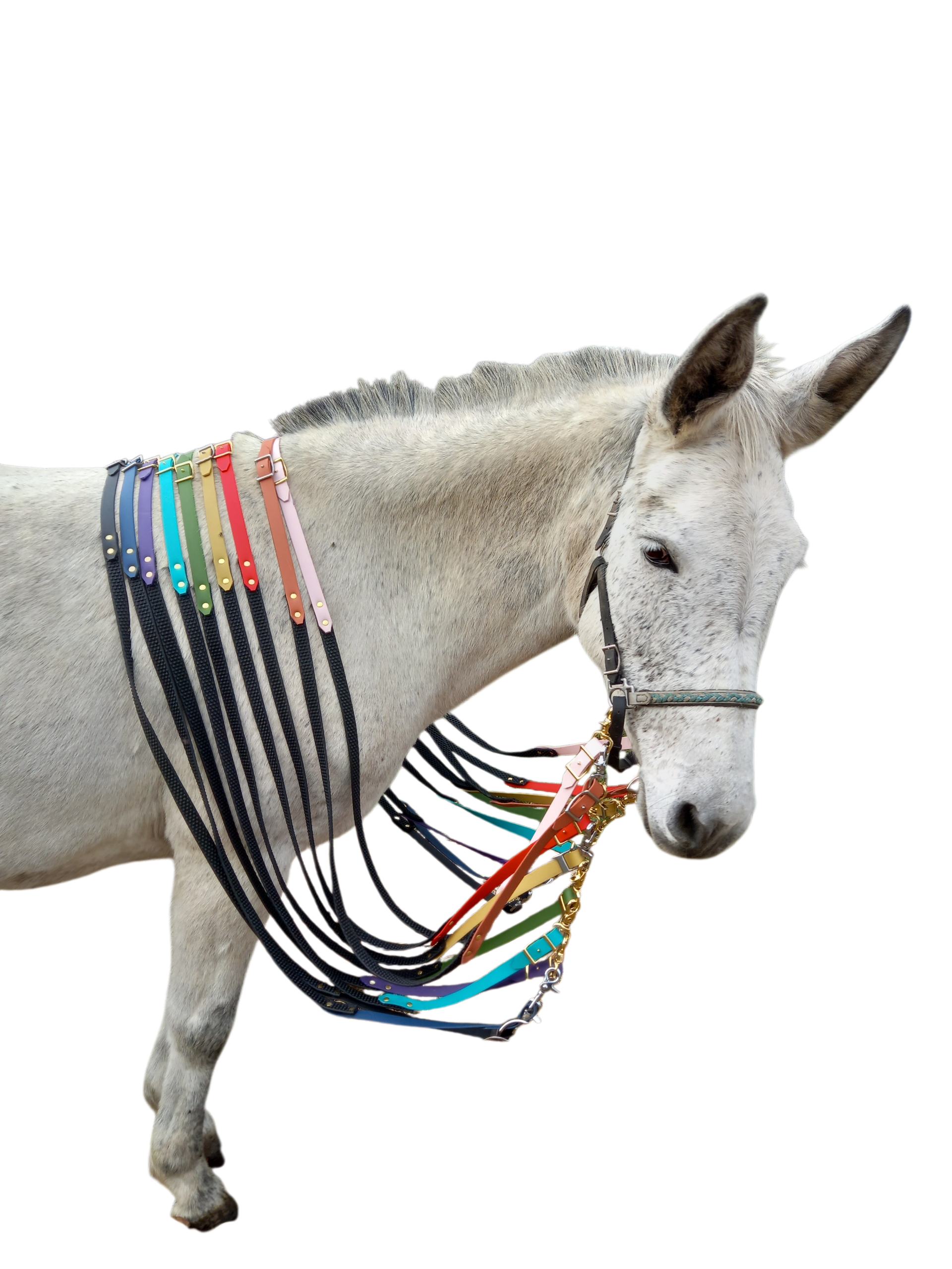 2025/12/1000028523.png en stock rênes supergrip taille cob