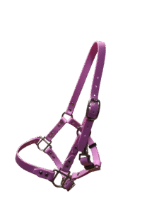 Créations équestres artisanales 1000028525.png