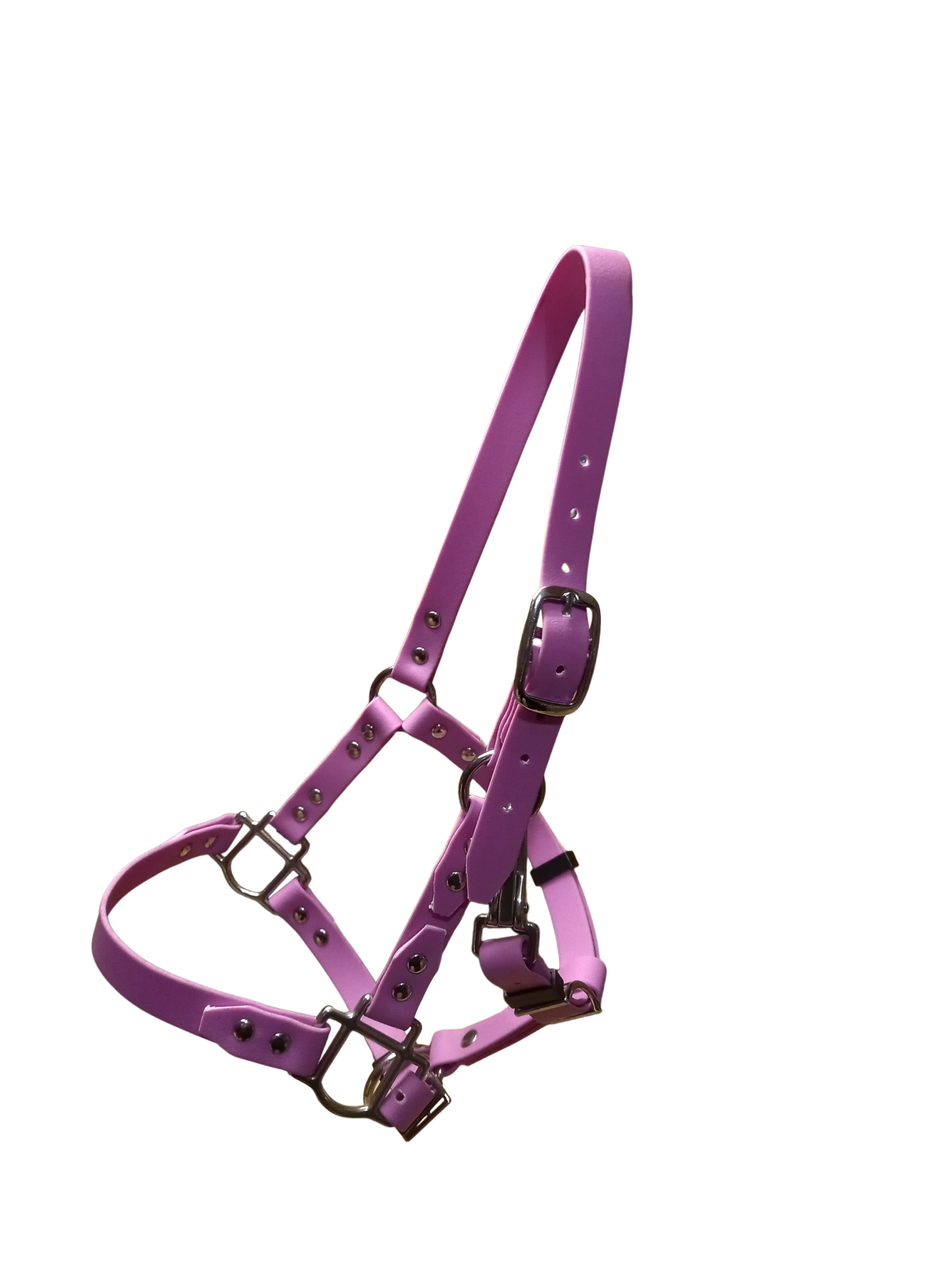 2025/12/1000028525-1.png 1000028525.png