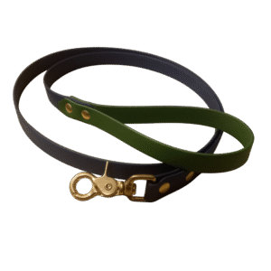 En stock – Laisse imperméable 150cm