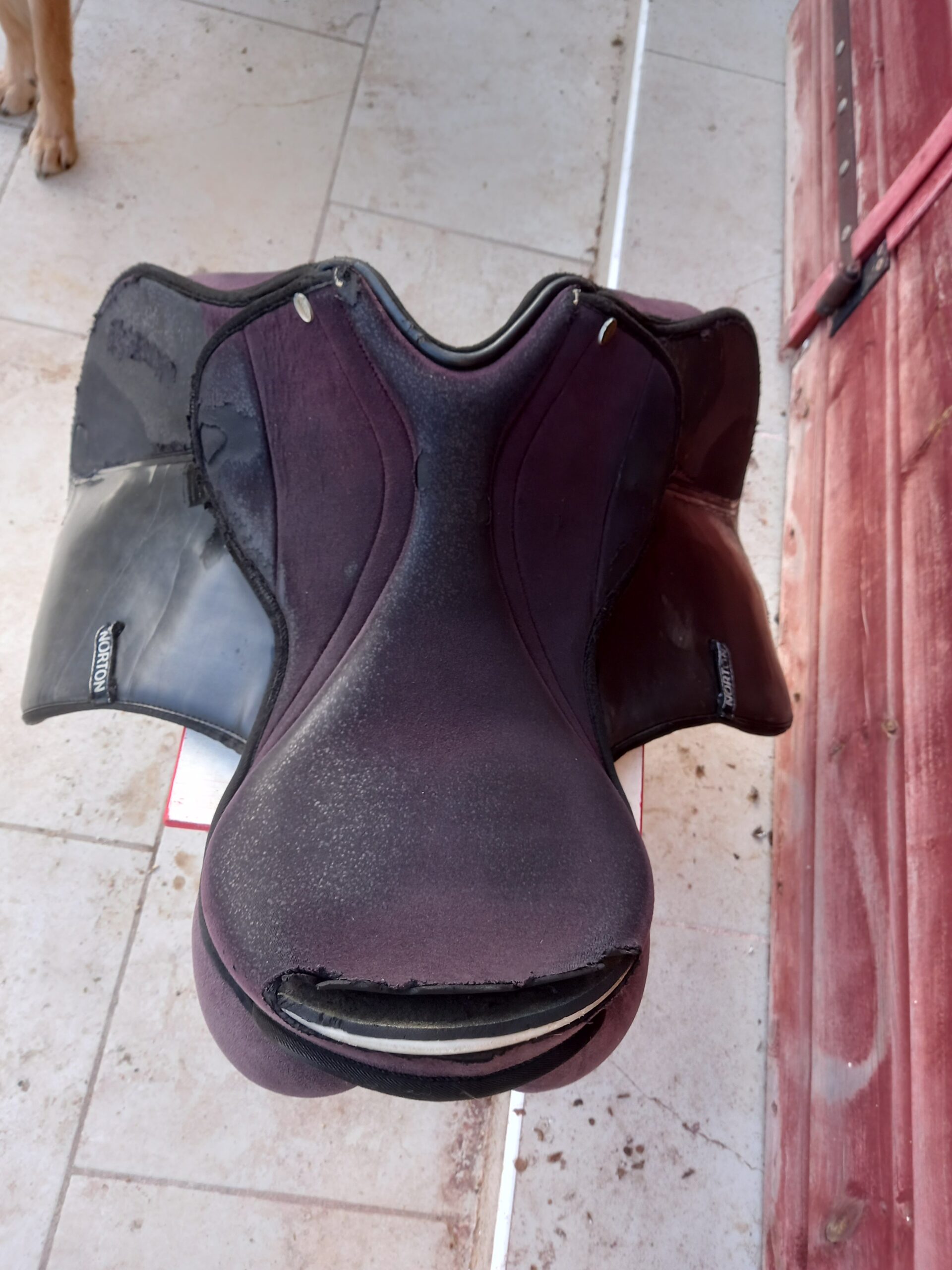 selle thorowgood sigma 17"