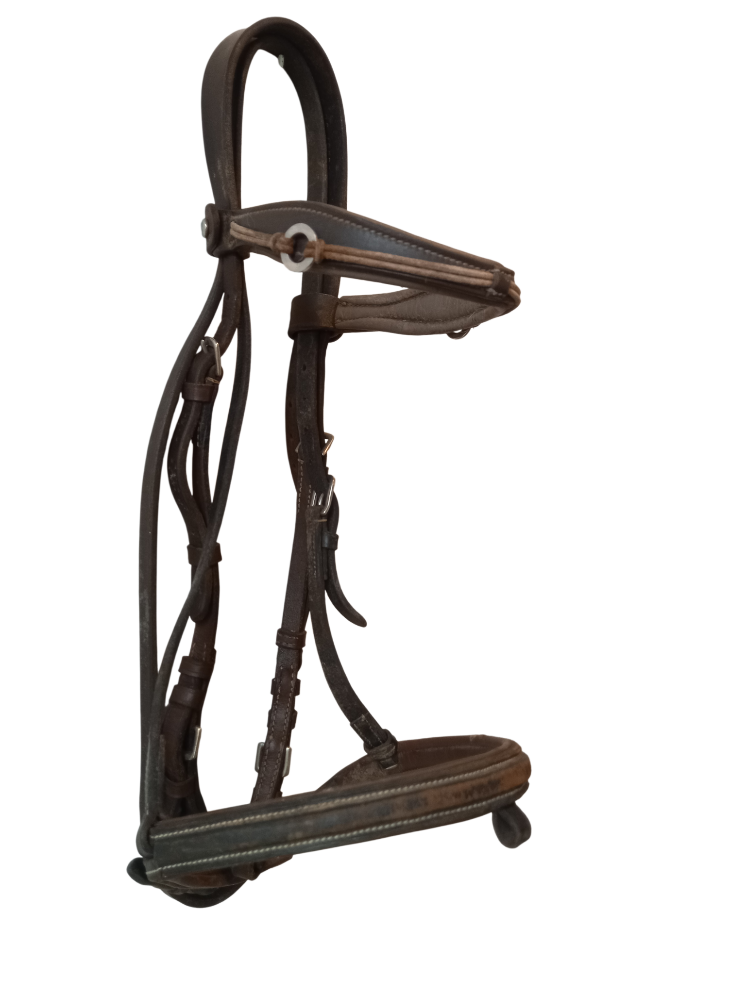 Filet cheval filet cheval copier