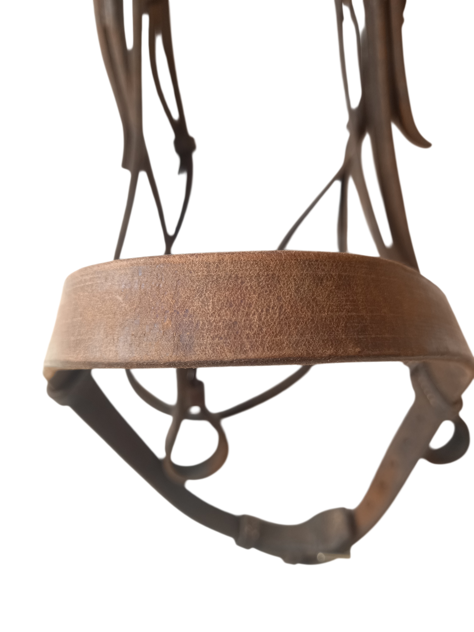 2026/02/1000032038.png filet cheval copier