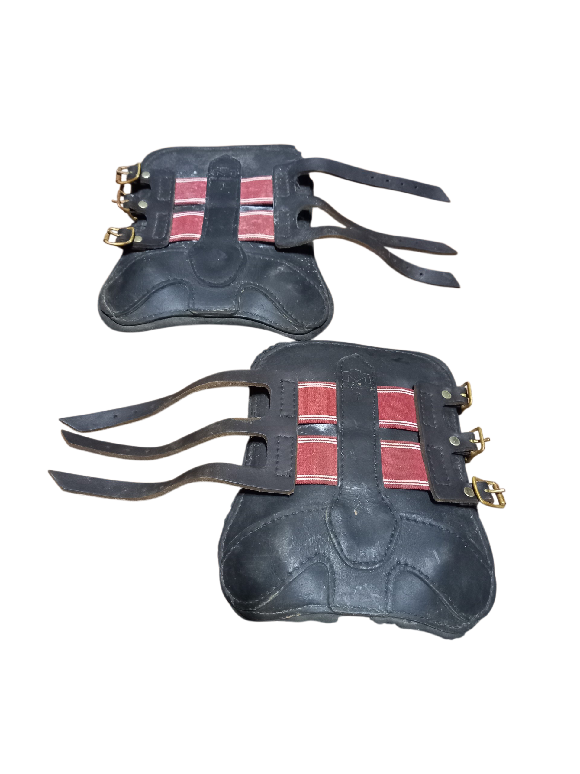 2026/02/1000032487.png guêtres Éric mondange