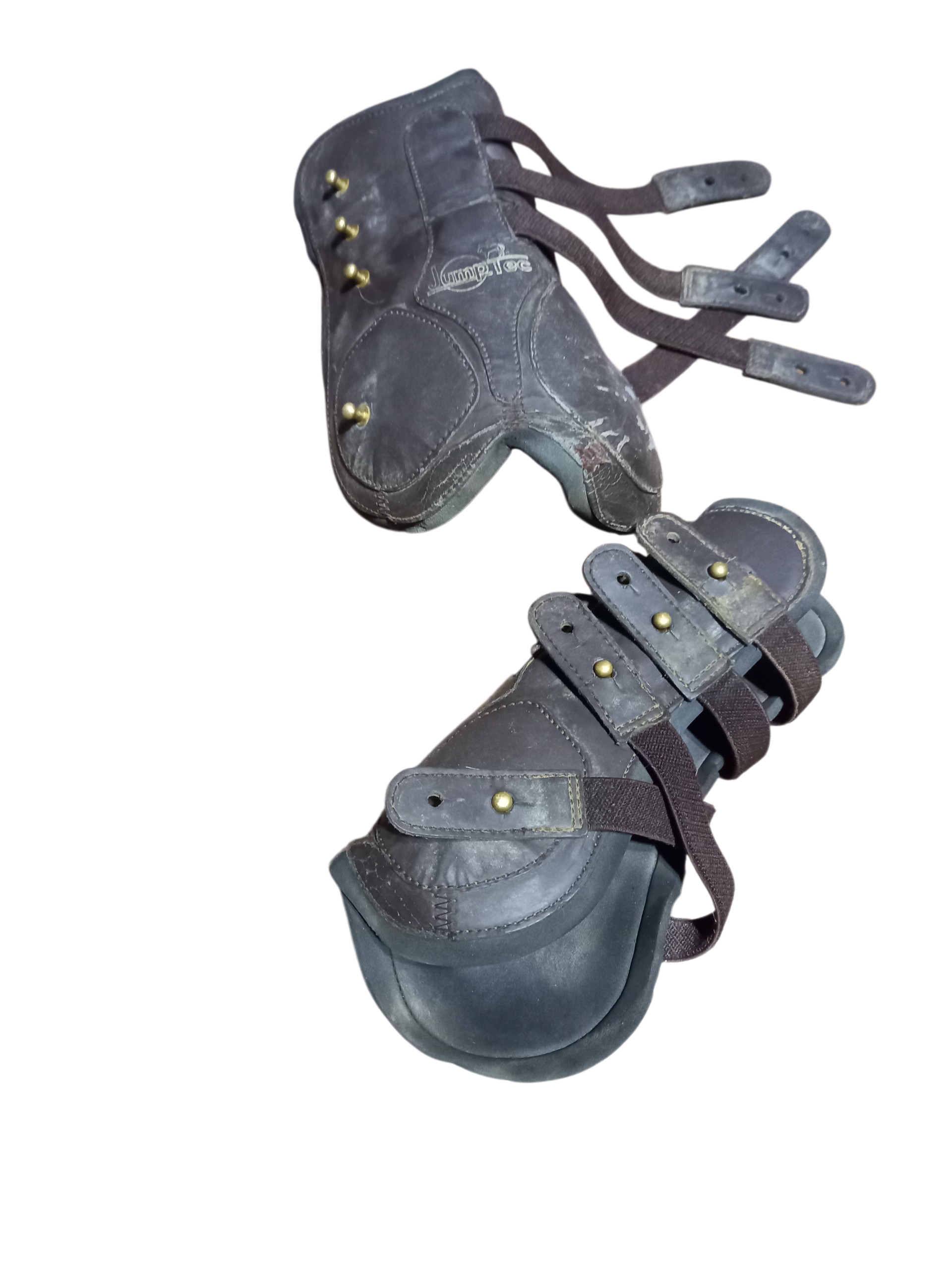 Guêtres cheval guêtres jumptec