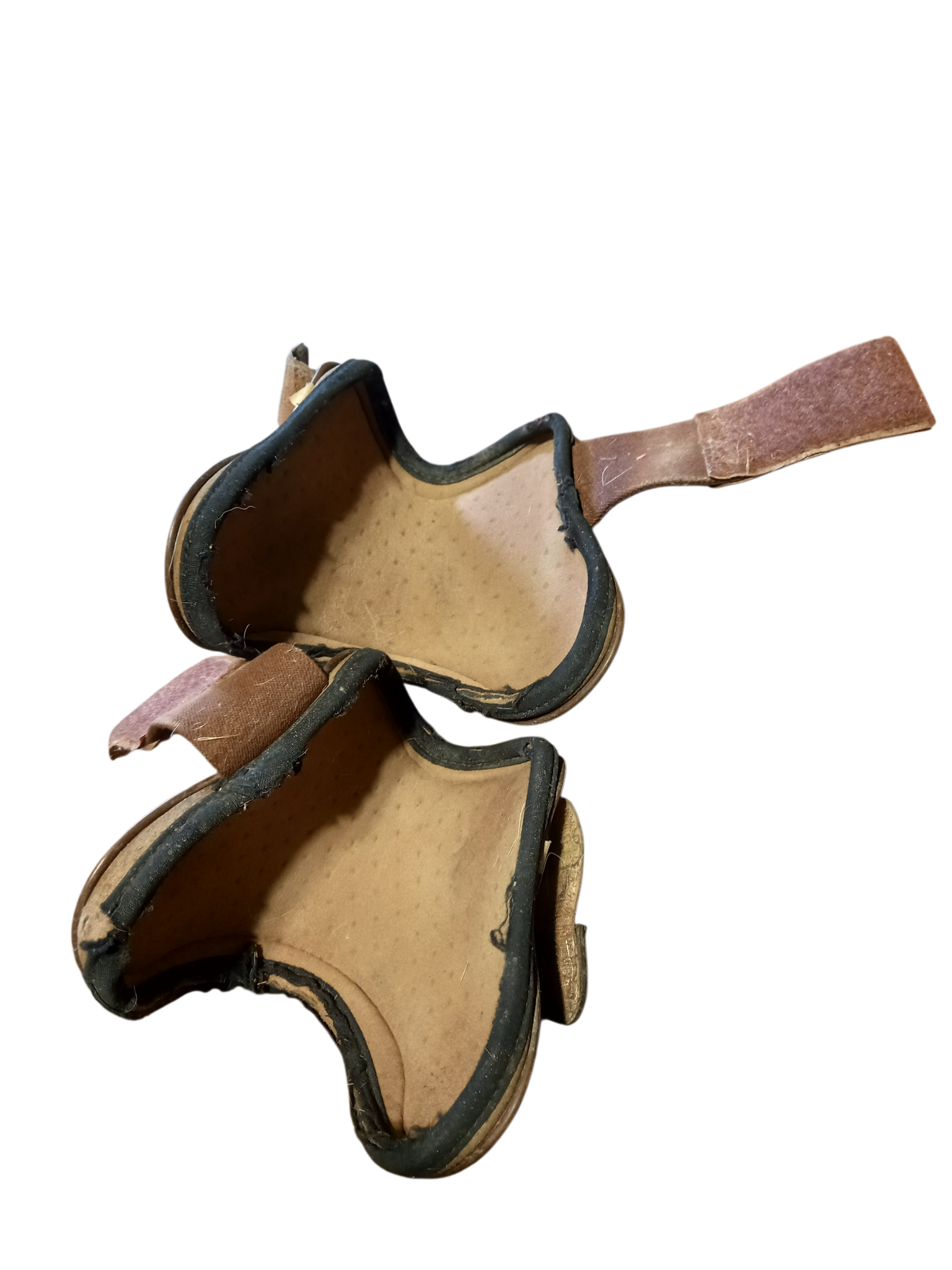 2026/02/1000032633.png protège boulets cheval copier