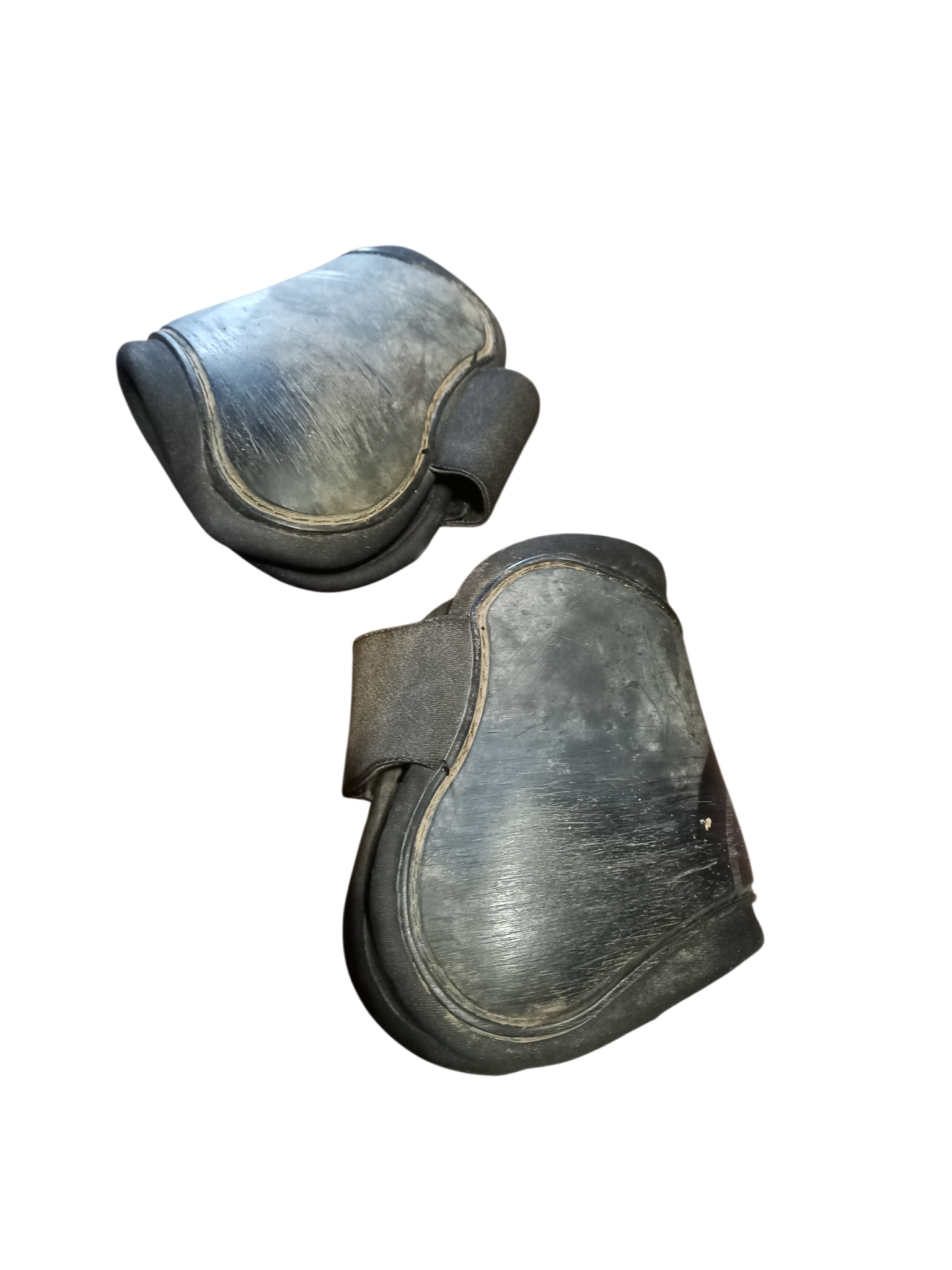 2026/02/1000032635.png protège boulets cheval copier