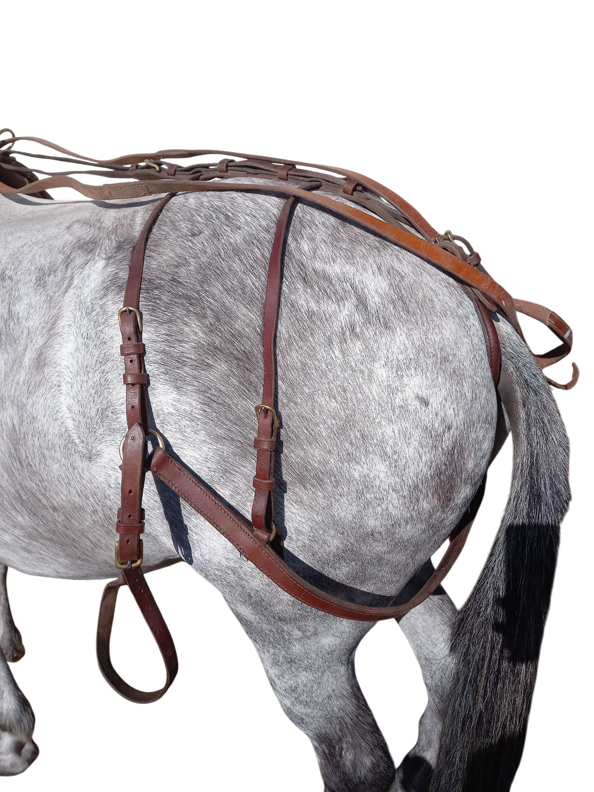 2026/03/1000033217.png 1000033217.png