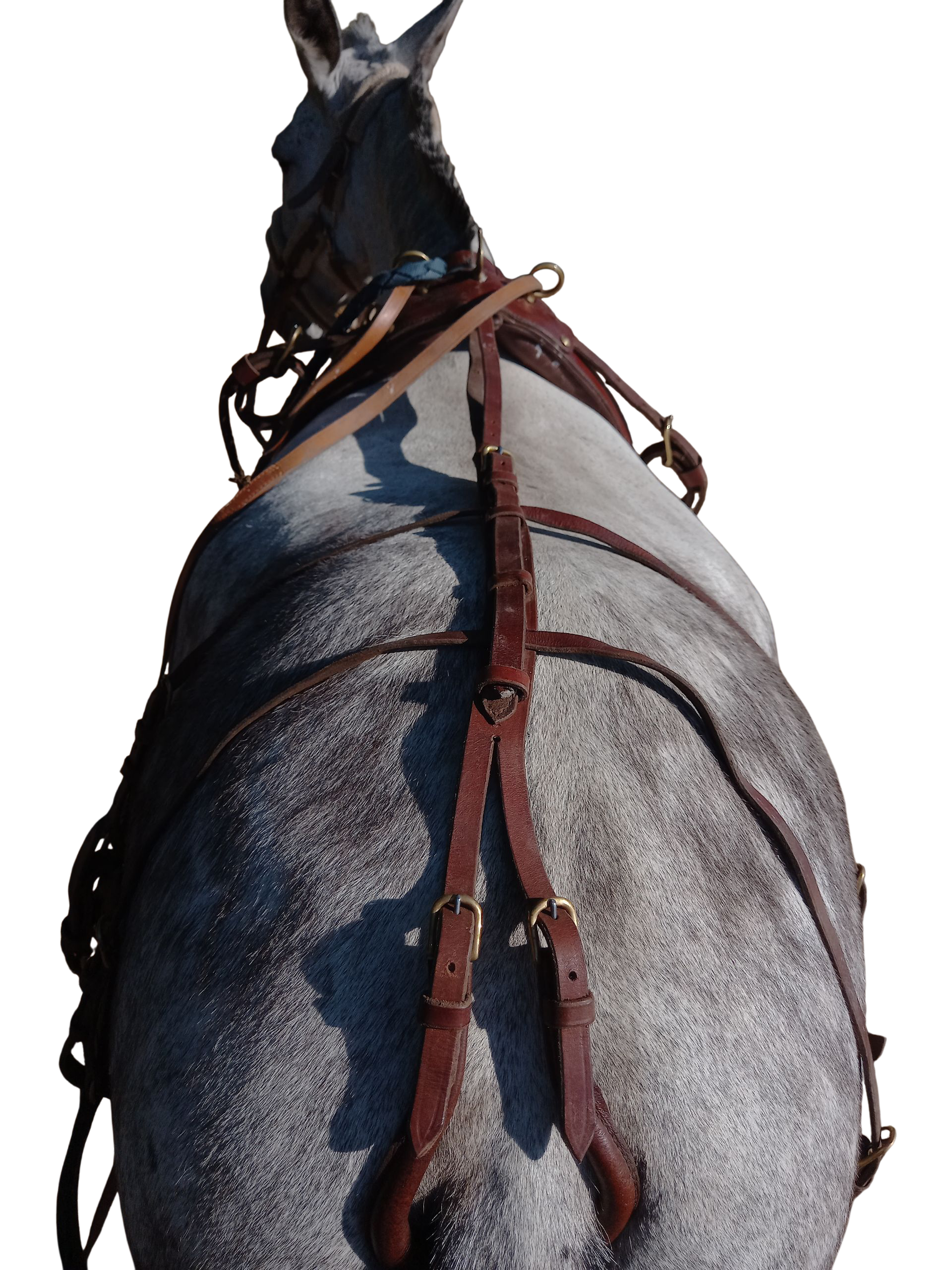 2026/03/1000033218.png 1000033218.png