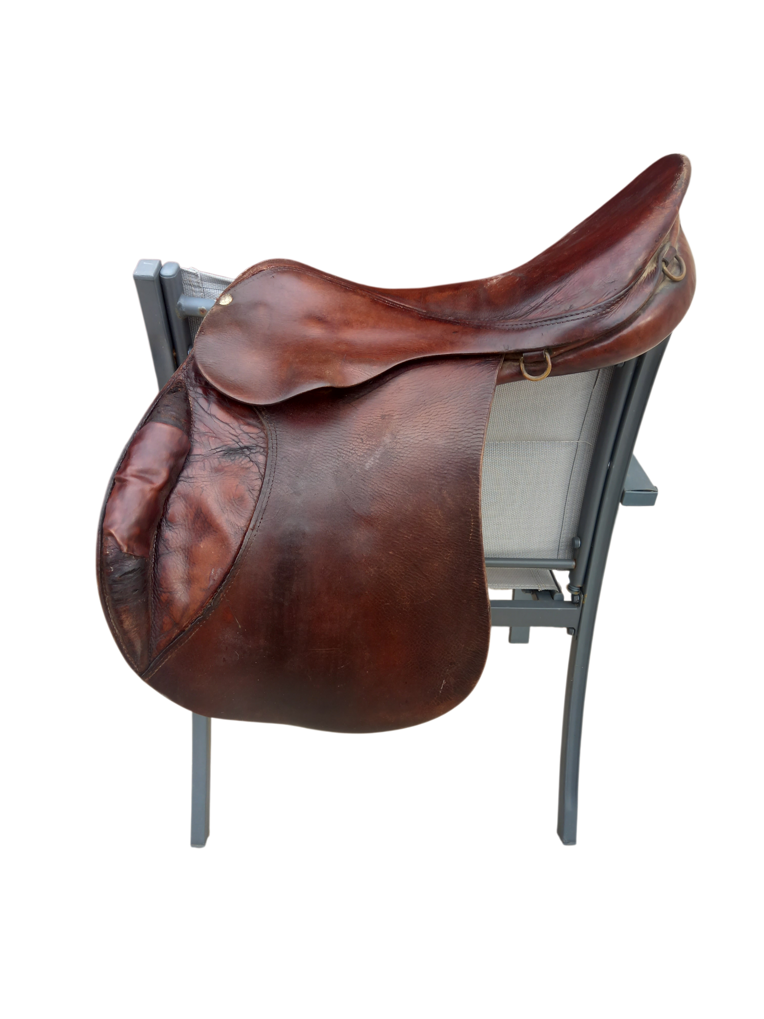 2026/05/1000018114.png selle norton 17" copier
