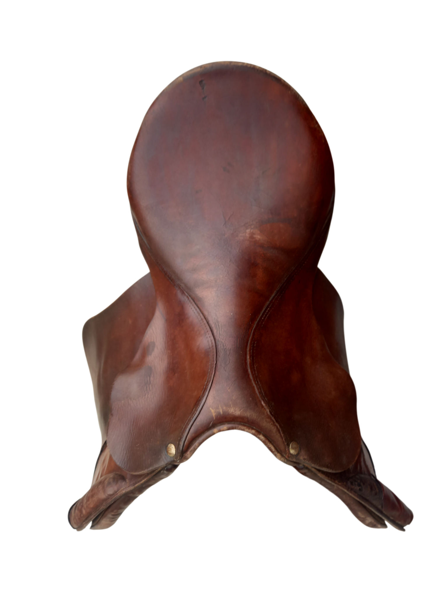 2026/05/1000018118.png selle norton 17" copier